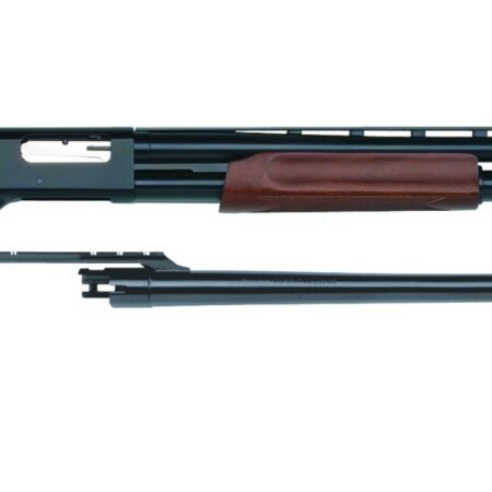 Shotgun disassembled with wooden stock components.