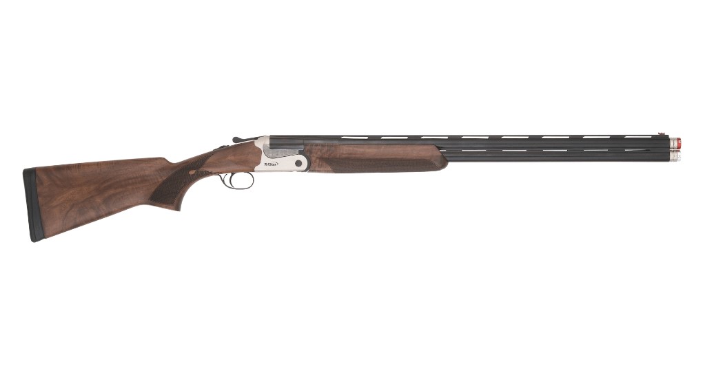 Double-barrel shotgun with wooden stock and forend.