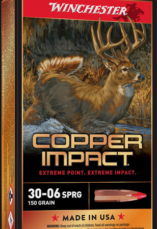 150GR 20RD 10BX/CSWINCHESTER COPPER IMPACT 30-06