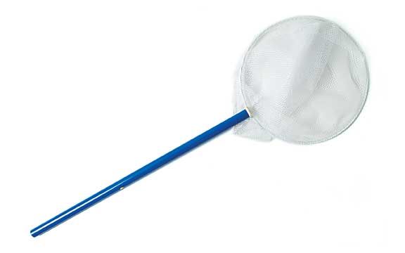 Blue-handled fishing net with a mesh scoop.