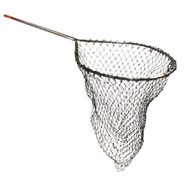 Fishing net with a long handle.