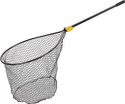 Fishing net with a long handle.