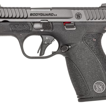 M&P Bodyguard 380 2.0