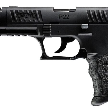 P22 Target