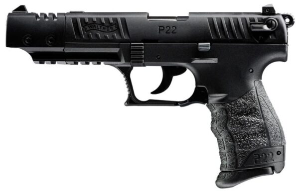 P22 Target