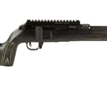 Hammerli Force B1