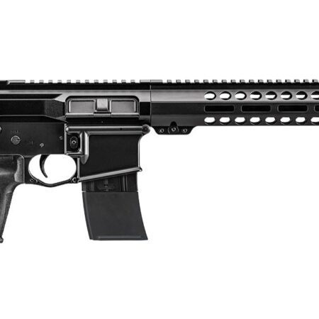 FN 15 Guardian